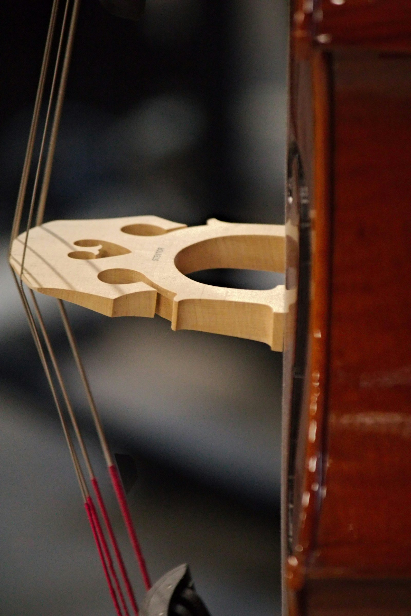Primer plano de un arco de violín y las cuerdas