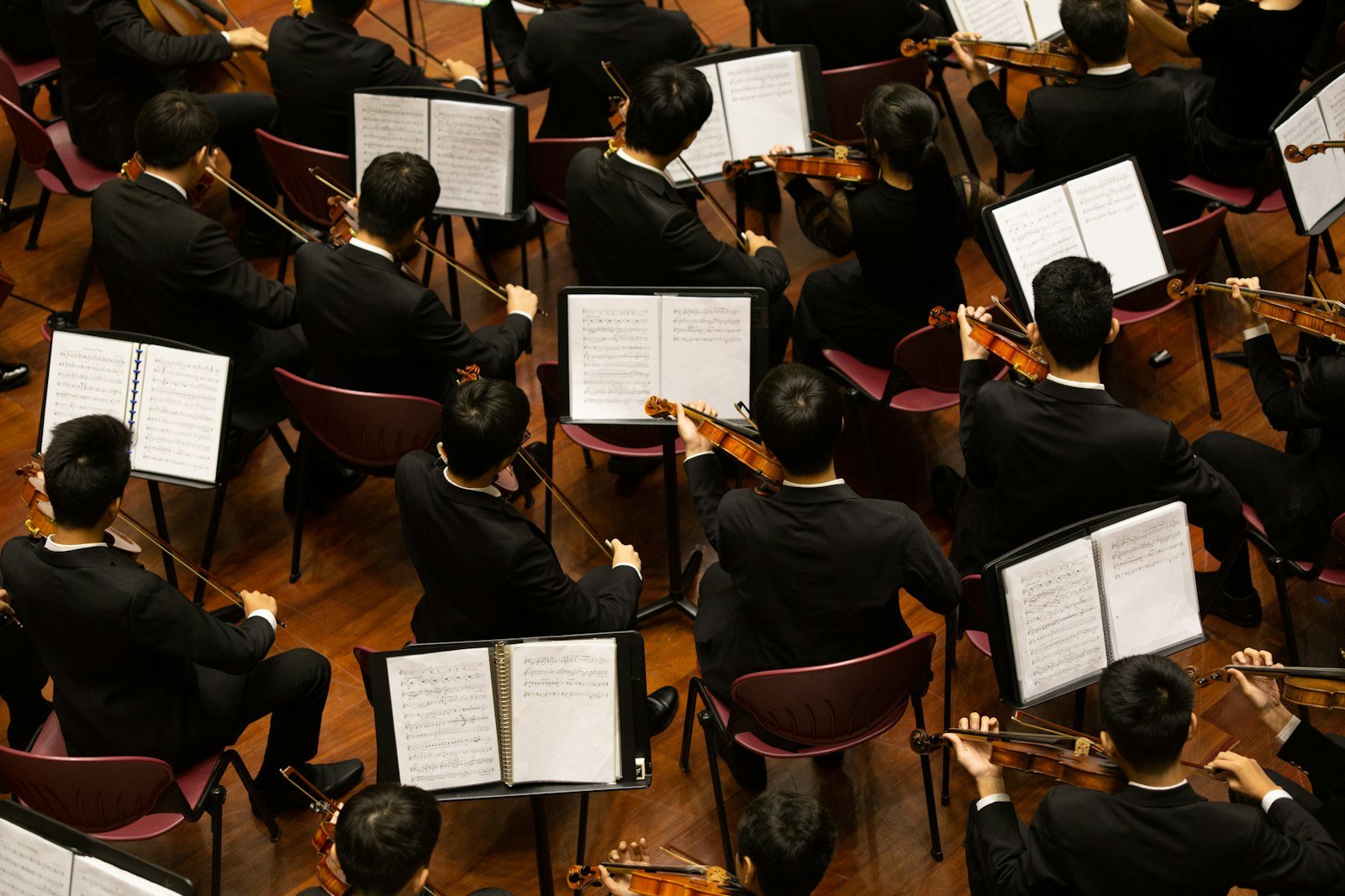 Grupo de violinistas tocando juntos en un ensamble